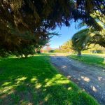 Las Palmeras de Lonquén, Parcela 95