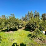 Las Palmeras de Lonquén, Parcela 95