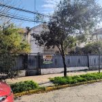 Carmen Covarrubias 117